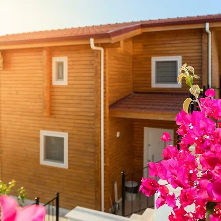 Eco Manolya Kalkan